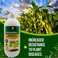 OrganicDews Rhizobium leguminosarum – Nitrogen Fixing Bacteria (2×10⁸ CFU/mL) Liquid Bio Inoculant Fertilizer for Legume Plants – Supports Root Development, Soil Fertility & Plant Growth – Rhizodews