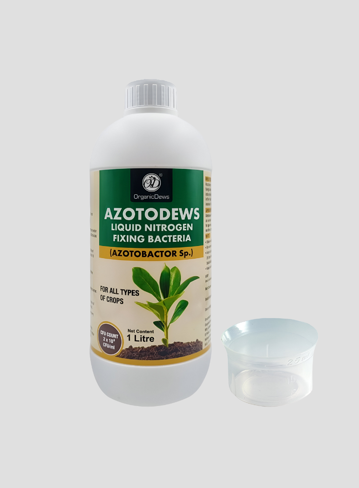 OrganicDews Azotobacter – Nitrogen-Fixing Bacteria (2 × 10⁸ CFU/ML) Liquid Bio Inoculum Fertilizer | Supports Soil Fertility, Root Development & Plant Growth | Azotodews