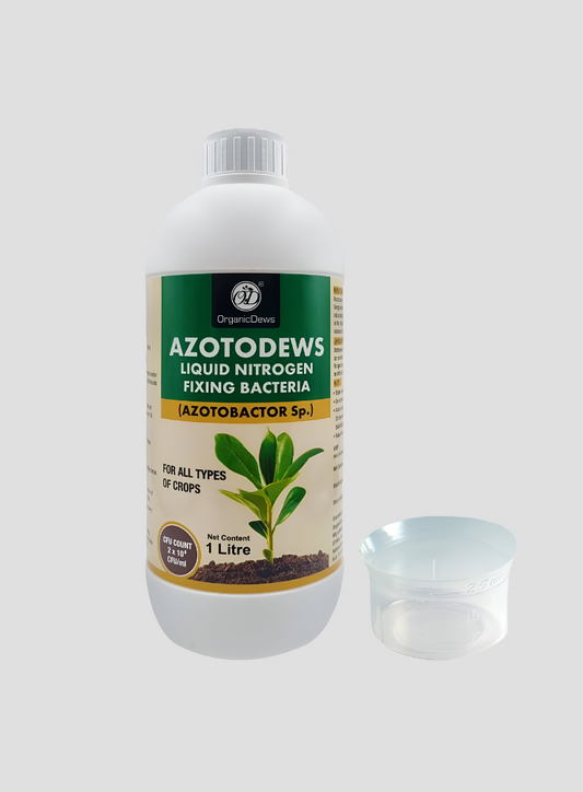 OrganicDews Azotobacter – Nitrogen-Fixing Bacteria (2 × 10⁸ CFU/ML) Liquid Bio Inoculum Fertilizer | Supports Soil Fertility, Root Development & Plant Growth | Azotodews