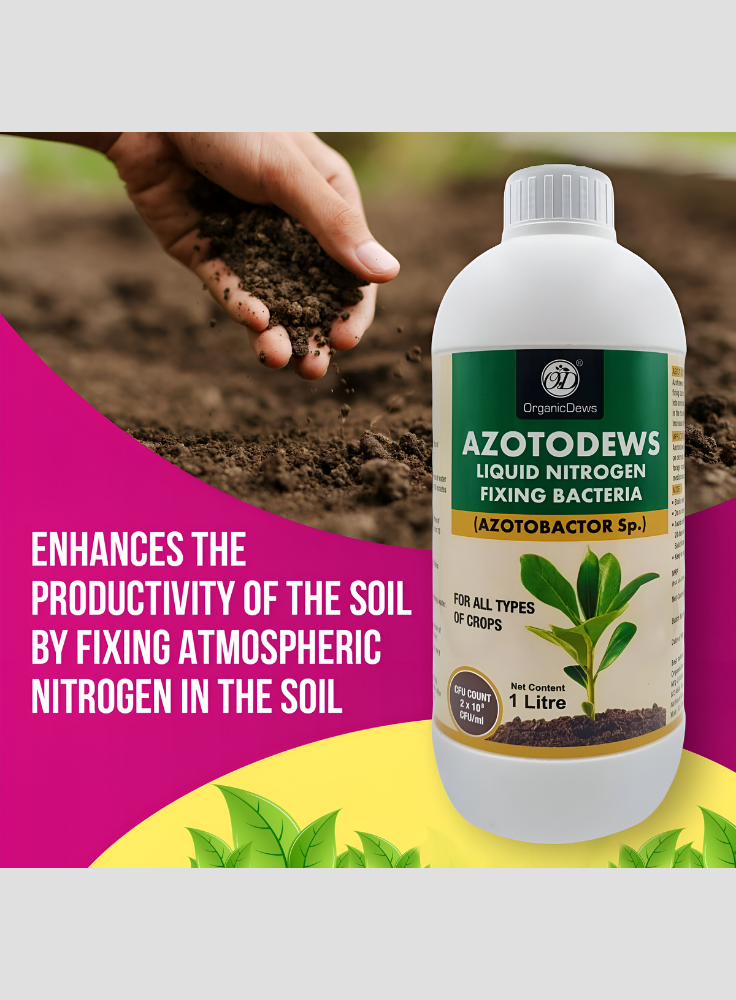 OrganicDews Azotobacter – Nitrogen-Fixing Bacteria (2 × 10⁸ CFU/ML) Liquid Bio Inoculum Fertilizer | Supports Soil Fertility, Root Development & Plant Growth | Azotodews