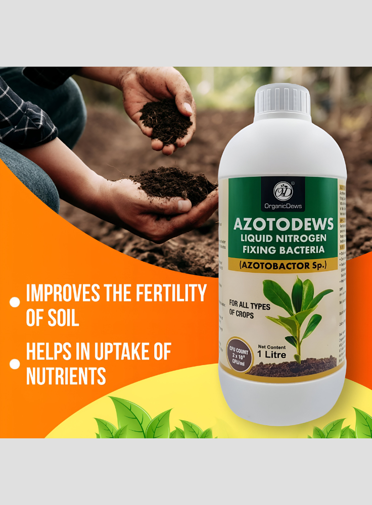 OrganicDews Azotobacter – Nitrogen-Fixing Bacteria (2 × 10⁸ CFU/ML) Liquid Bio Inoculum Fertilizer | Supports Soil Fertility, Root Development & Plant Growth | Azotodews