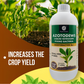OrganicDews Azotobacter – Nitrogen-Fixing Bacteria (2 × 10⁸ CFU/ML) Liquid Bio Inoculum Fertilizer | Supports Soil Fertility, Root Development & Plant Growth | Azotodews