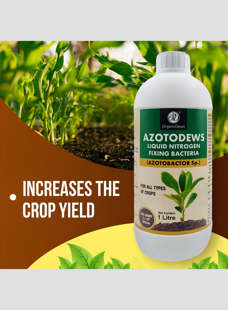 OrganicDews Azotobacter – Nitrogen-Fixing Bacteria (2 × 10⁸ CFU/ML) Liquid Bio Inoculum Fertilizer | Supports Soil Fertility, Root Development & Plant Growth | Azotodews