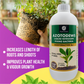 OrganicDews Azotobacter – Nitrogen-Fixing Bacteria (2 × 10⁸ CFU/ML) Liquid Bio Inoculum Fertilizer | Supports Soil Fertility, Root Development & Plant Growth | Azotodews