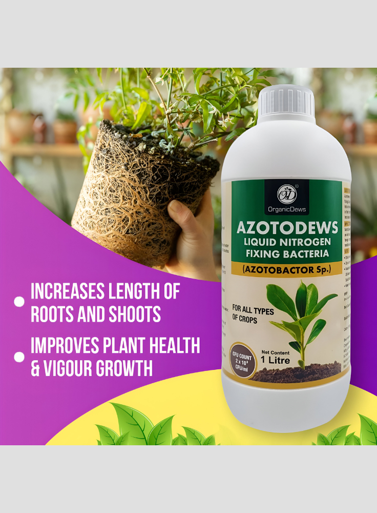 OrganicDews Azotobacter – Nitrogen-Fixing Bacteria (2 × 10⁸ CFU/ML) Liquid Bio Inoculum Fertilizer | Supports Soil Fertility, Root Development & Plant Growth | Azotodews