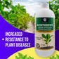OrganicDews Azotobacter – Nitrogen-Fixing Bacteria (2 × 10⁸ CFU/ML) Liquid Bio Inoculum Fertilizer | Supports Soil Fertility, Root Development & Plant Growth | Azotodews