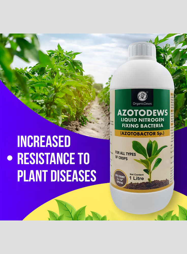 OrganicDews Azotobacter – Nitrogen-Fixing Bacteria (2 × 10⁸ CFU/ML) Liquid Bio Inoculum Fertilizer | Supports Soil Fertility, Root Development & Plant Growth | Azotodews